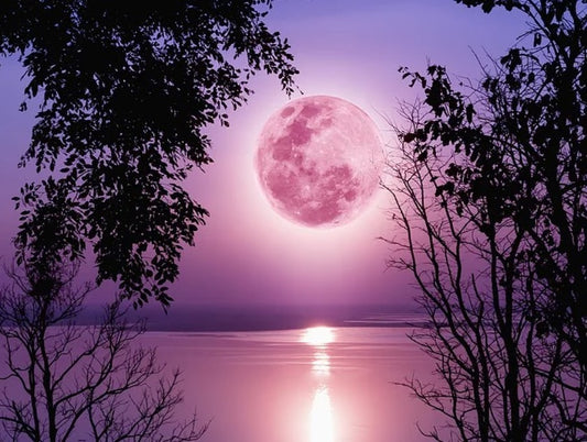 April Pink Moon