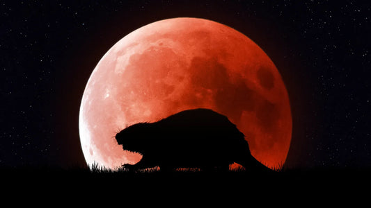November Full Moon - Beaver Moon