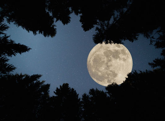 August Sturgeon 'Super Blue' Moon