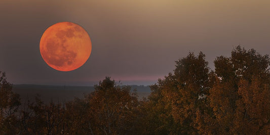 September Harvest Moon