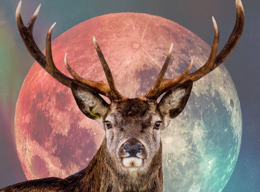 July 'Super' Buck Moon