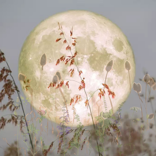 May "Flower Full Moon"