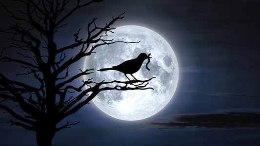 The Worm Moon Blood Moon Lunar Eclipse – March 14, 2025
