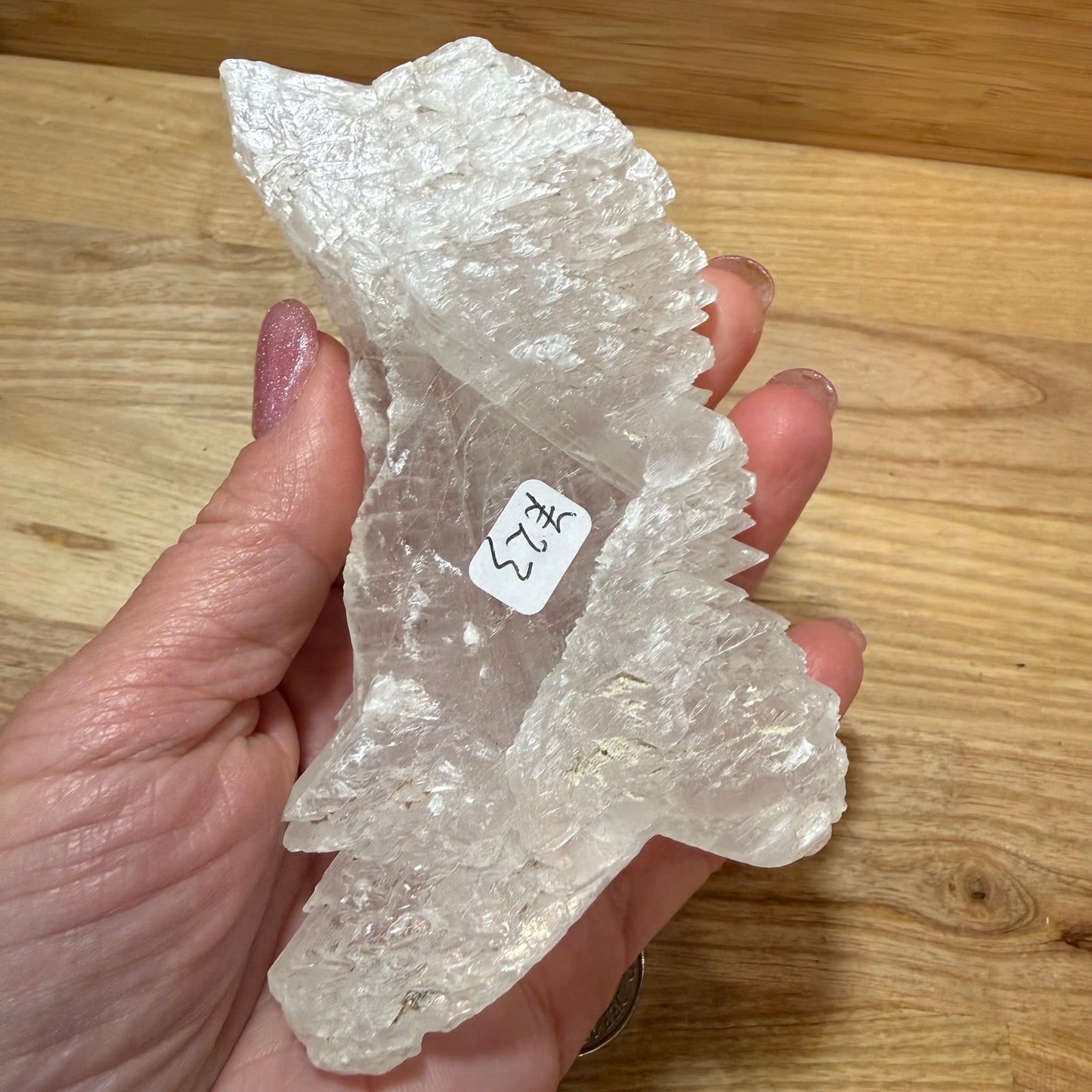 Fishtail Selenite - FT23