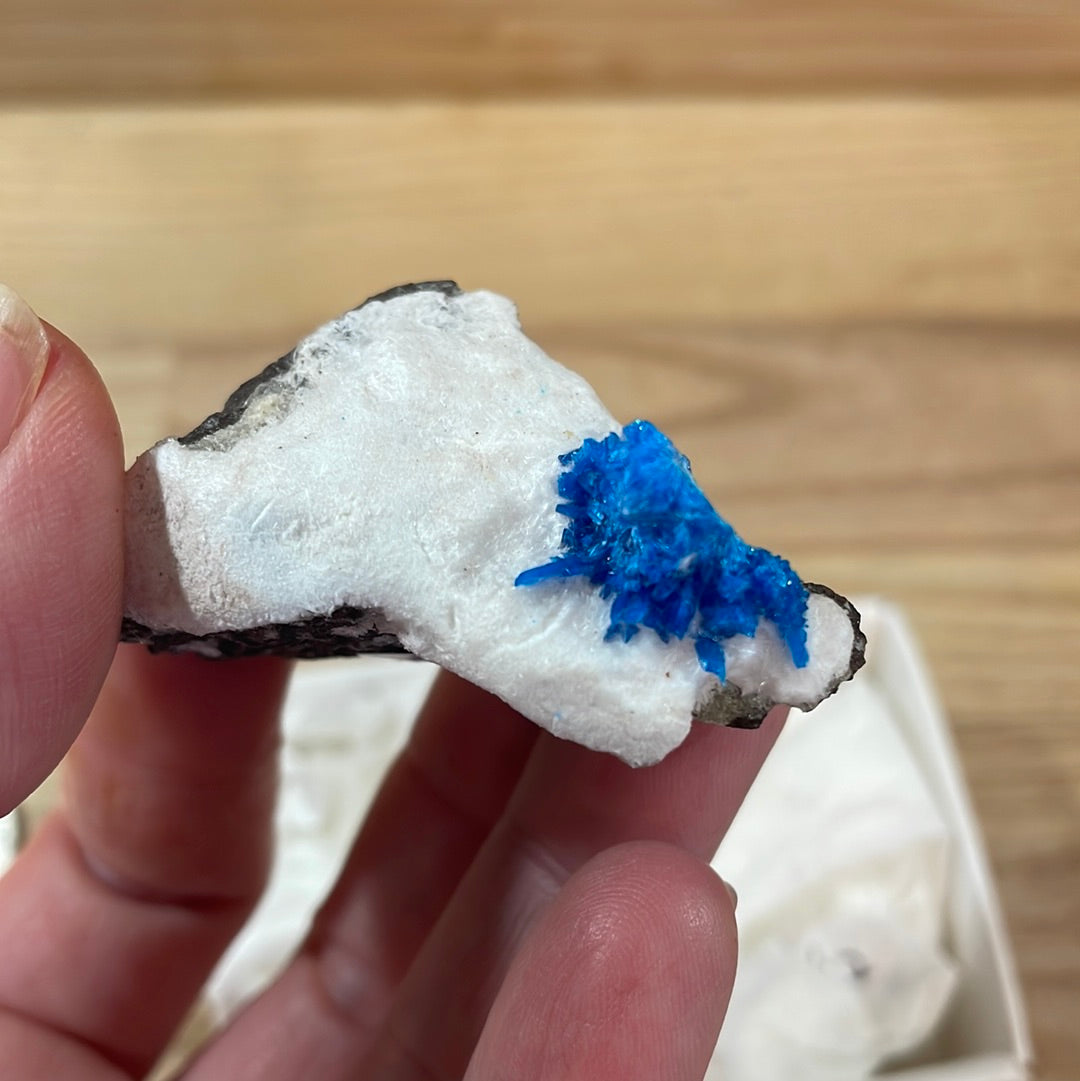 Cavansite - Specimen Grade