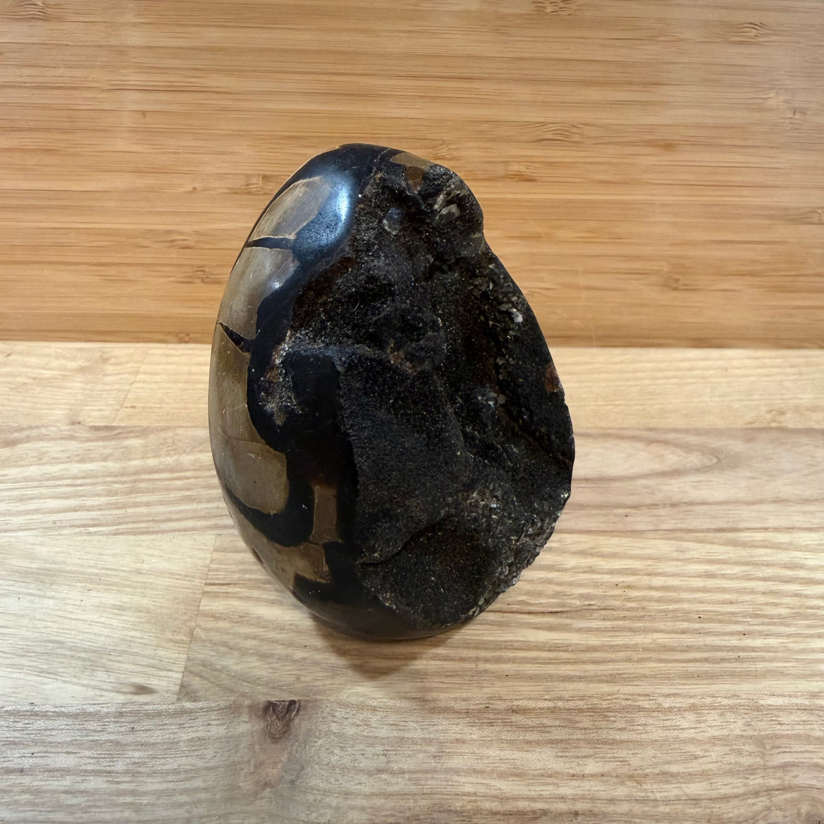 Septarian Raw & Polished Egg Display Piece
