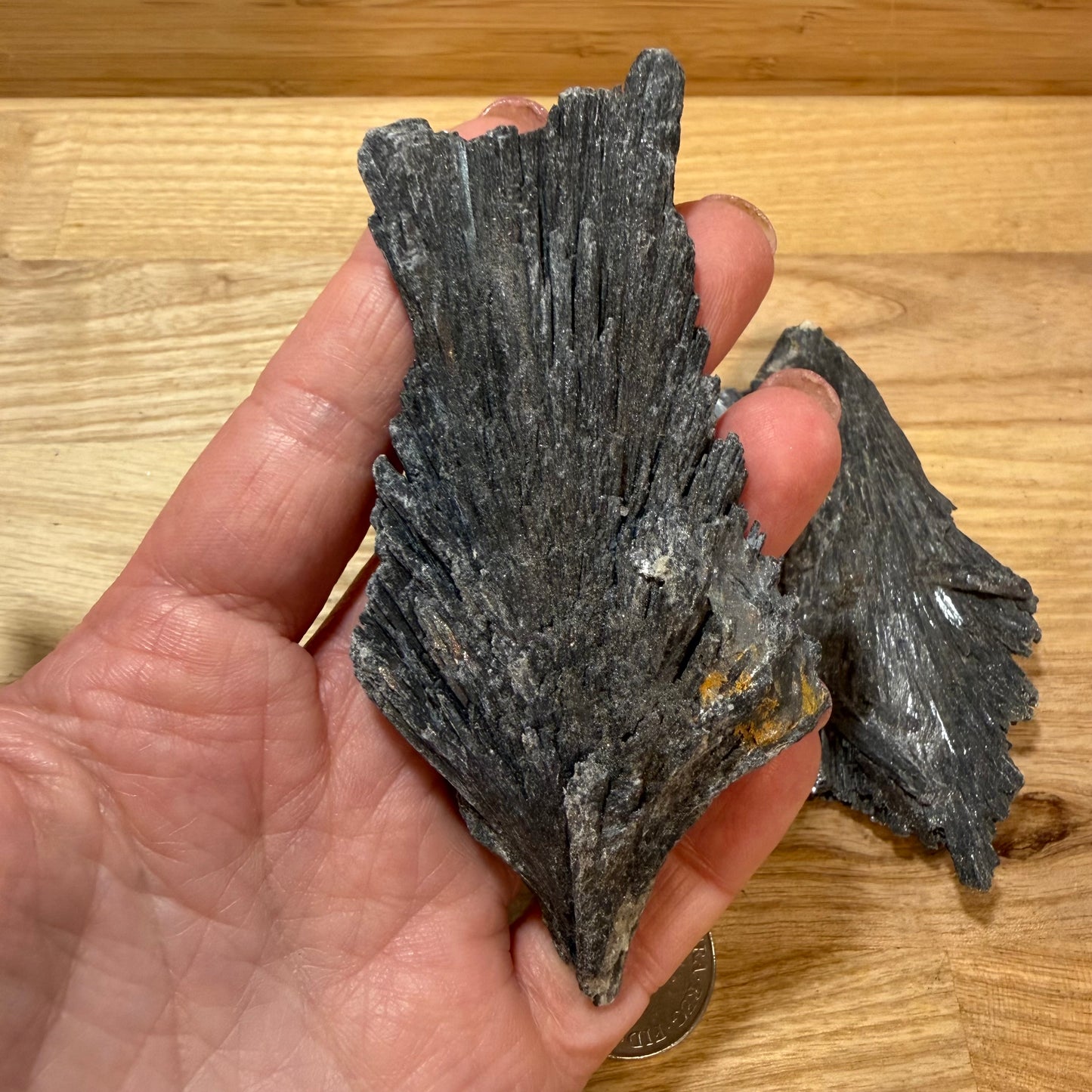Black Kyanite - Raw pieces