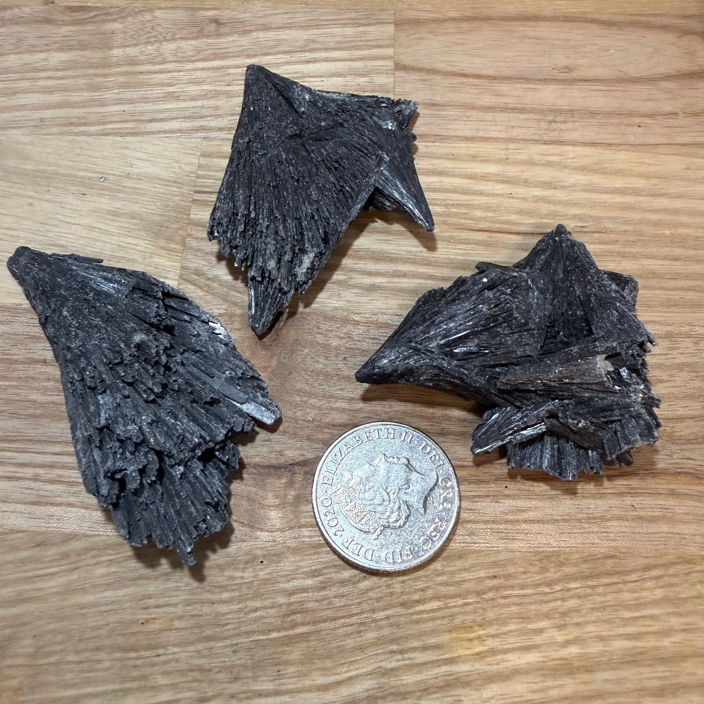 Black Kyanite - Raw pieces