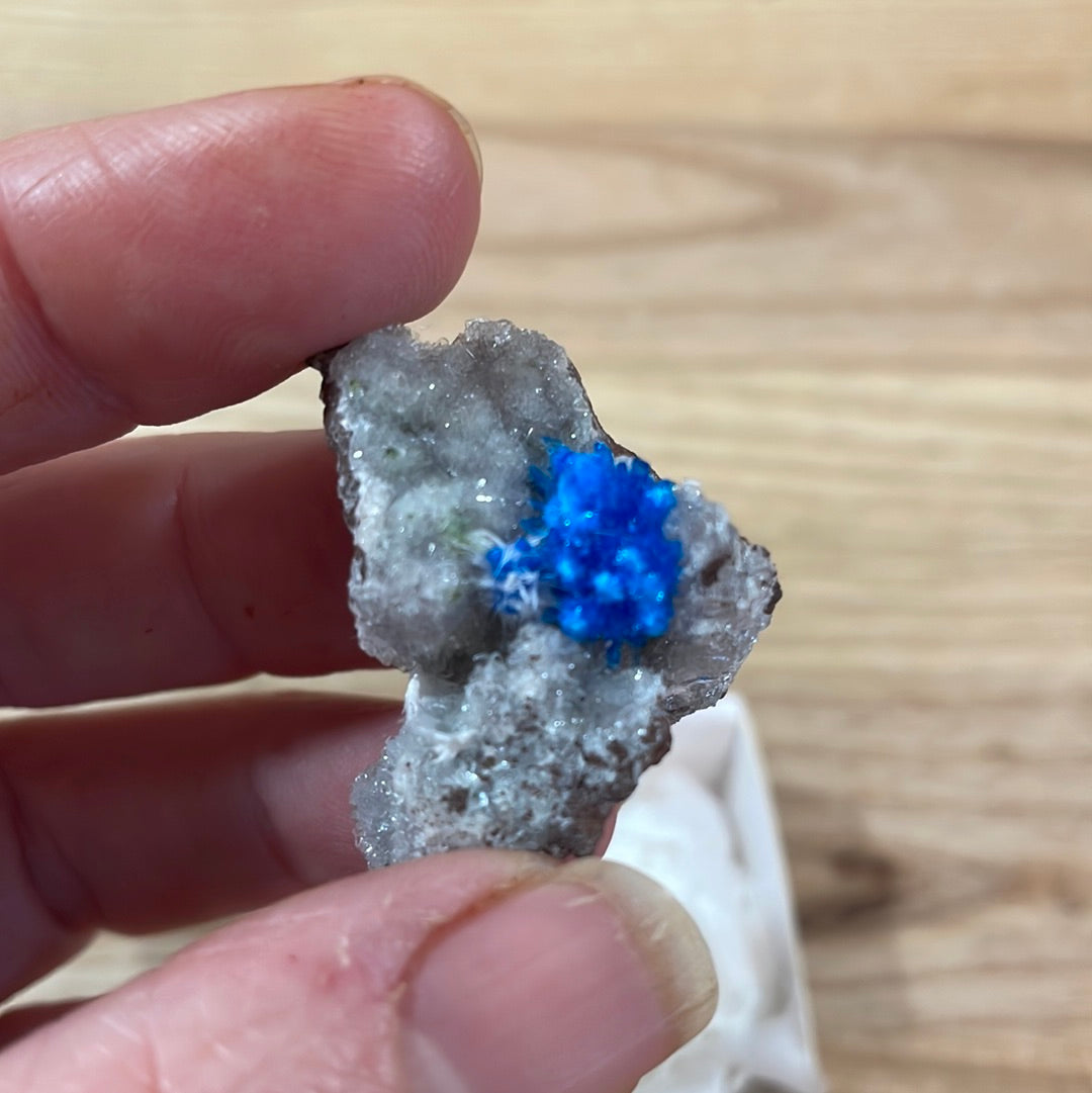 Cavansite - Specimen Grade