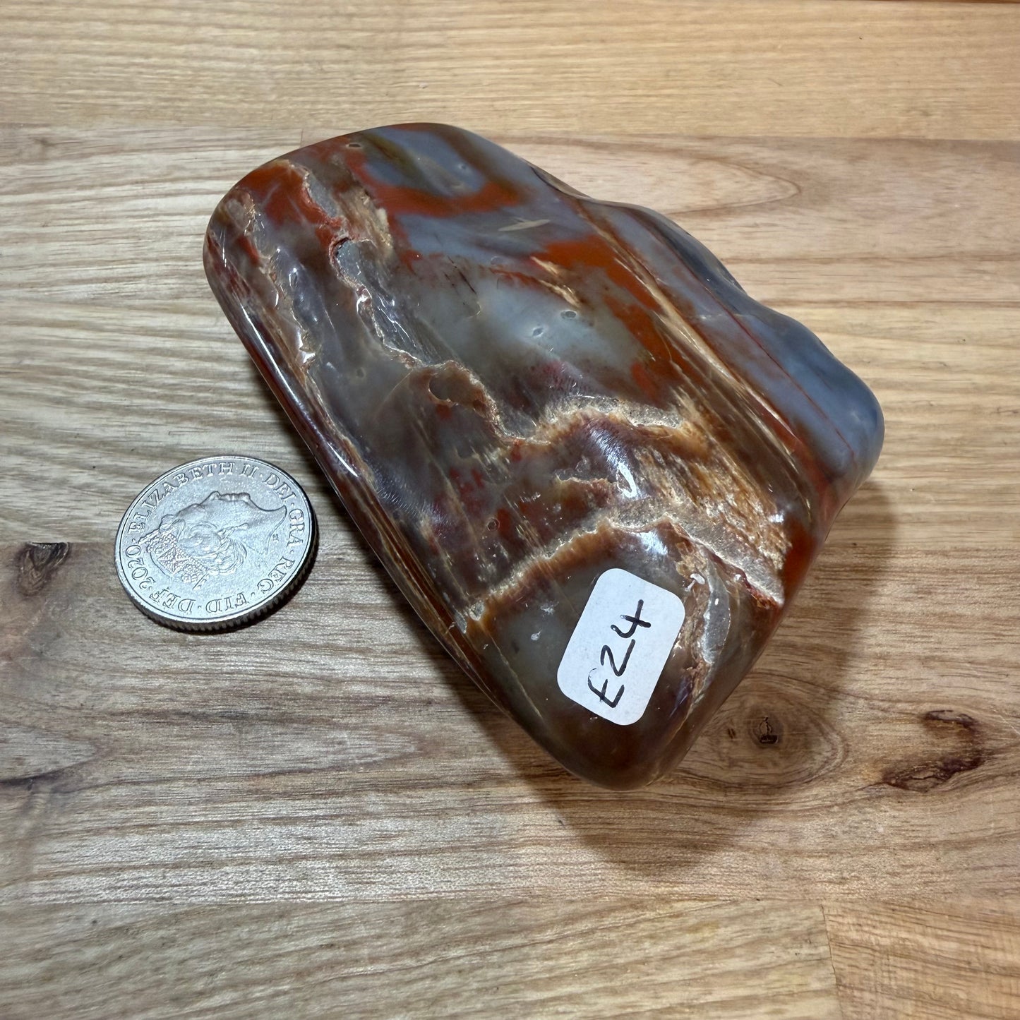 Fossilised Wood Polished Piece