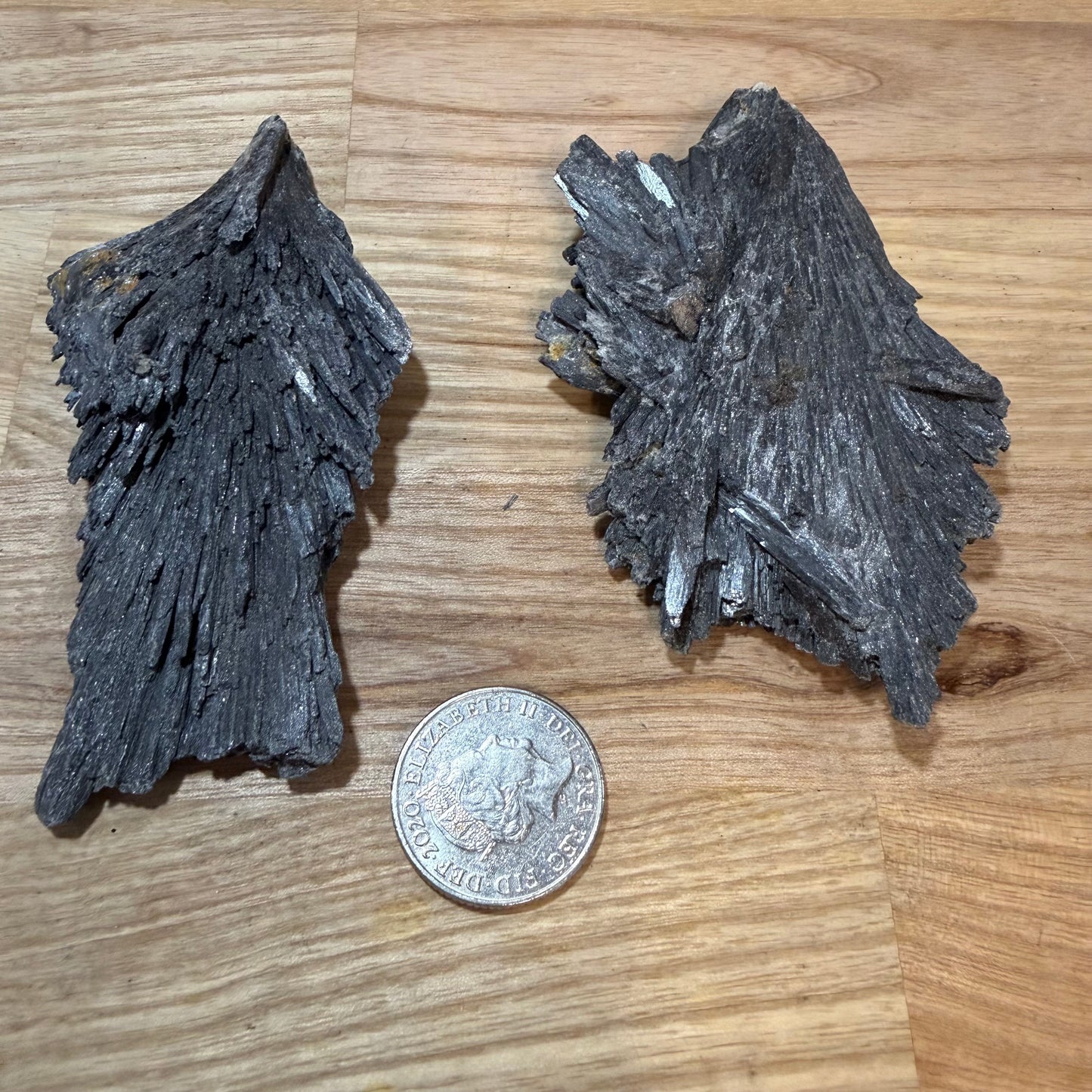 Black Kyanite - Raw pieces