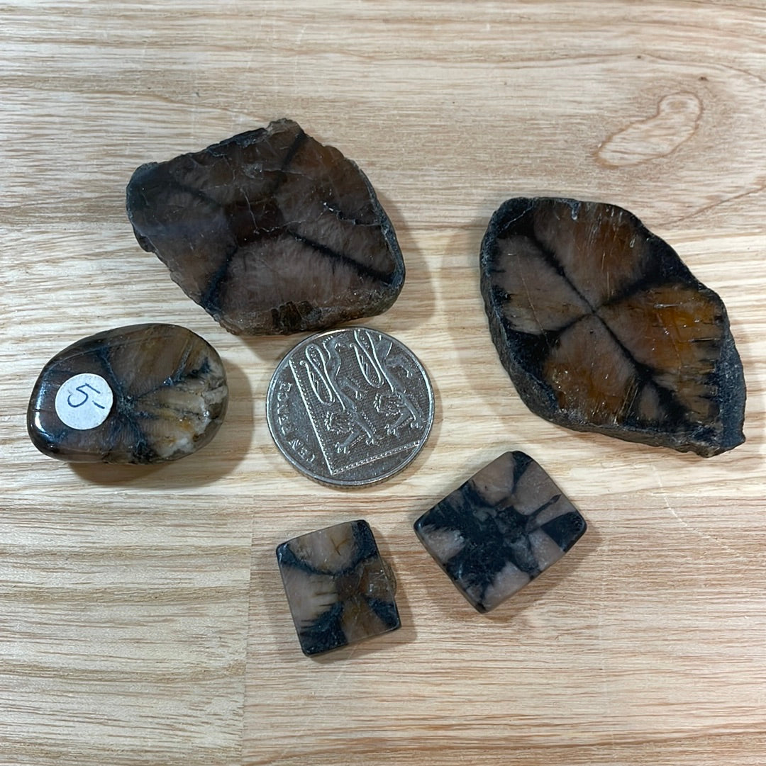 Chiastolite ‘Cross Stone’ Specimens