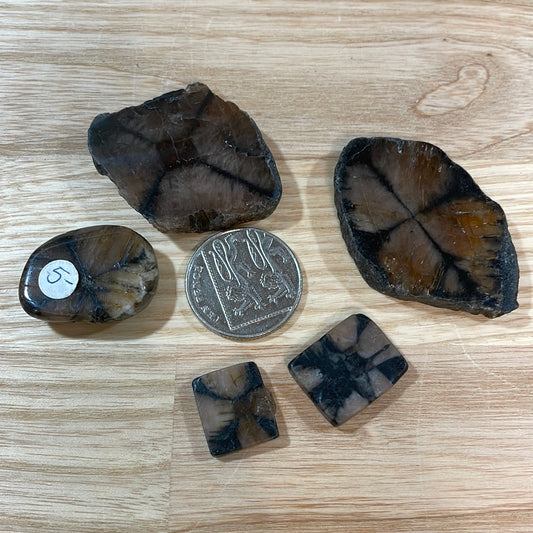 Chiastolite ‘Cross Stone’ Specimens
