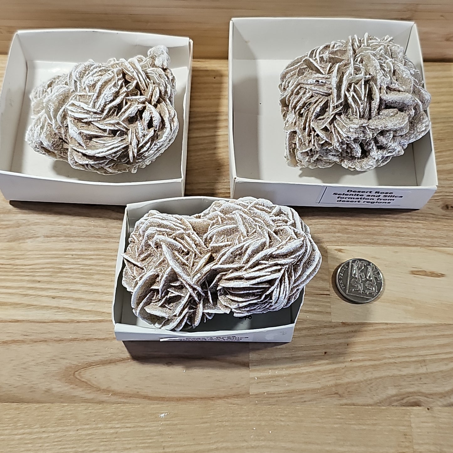 Desert Rose Display Pieces