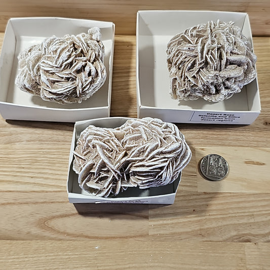 Desert Rose Display Pieces