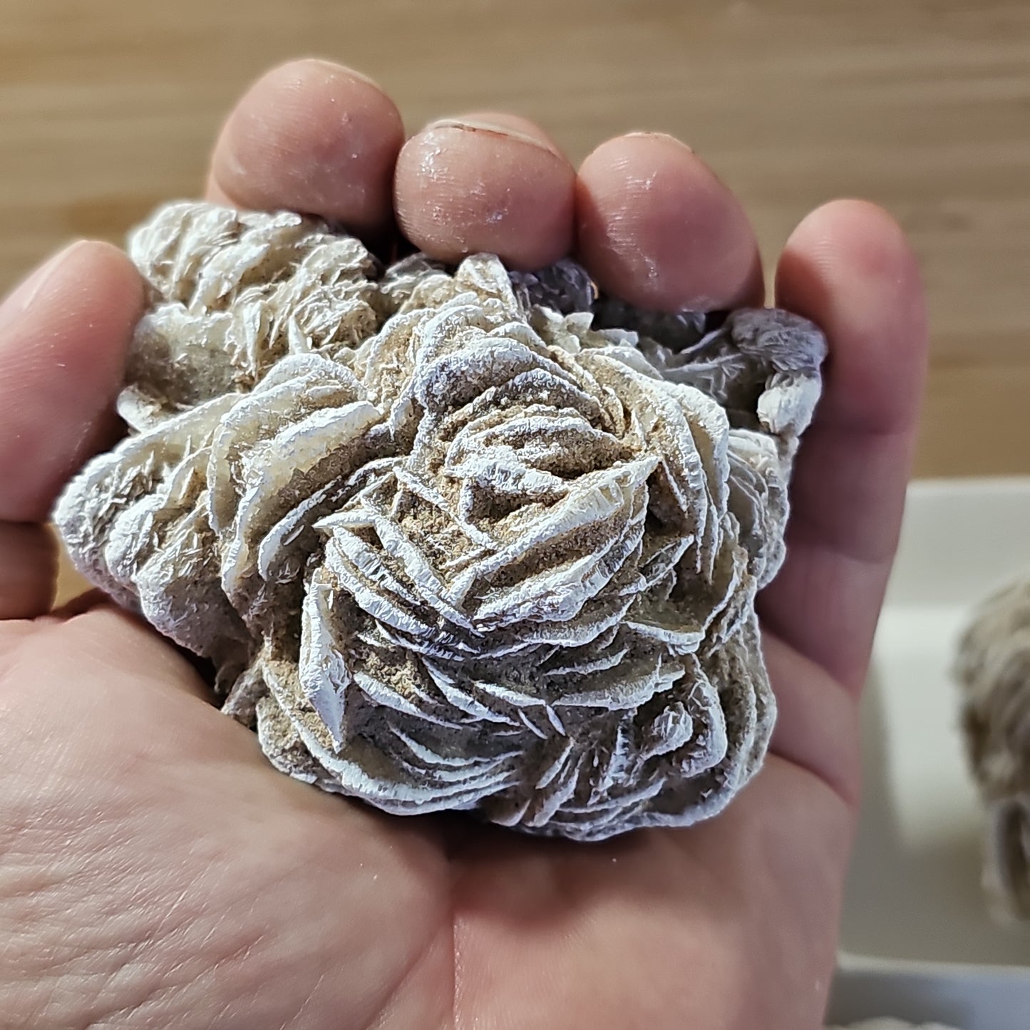 Desert Rose Display Pieces