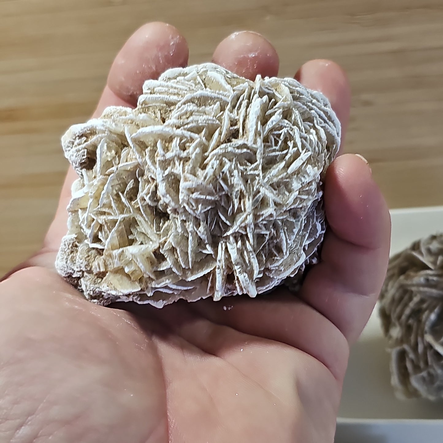 Desert Rose Display Pieces