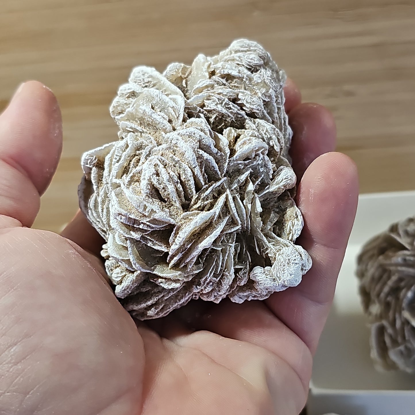 Desert Rose Display Pieces