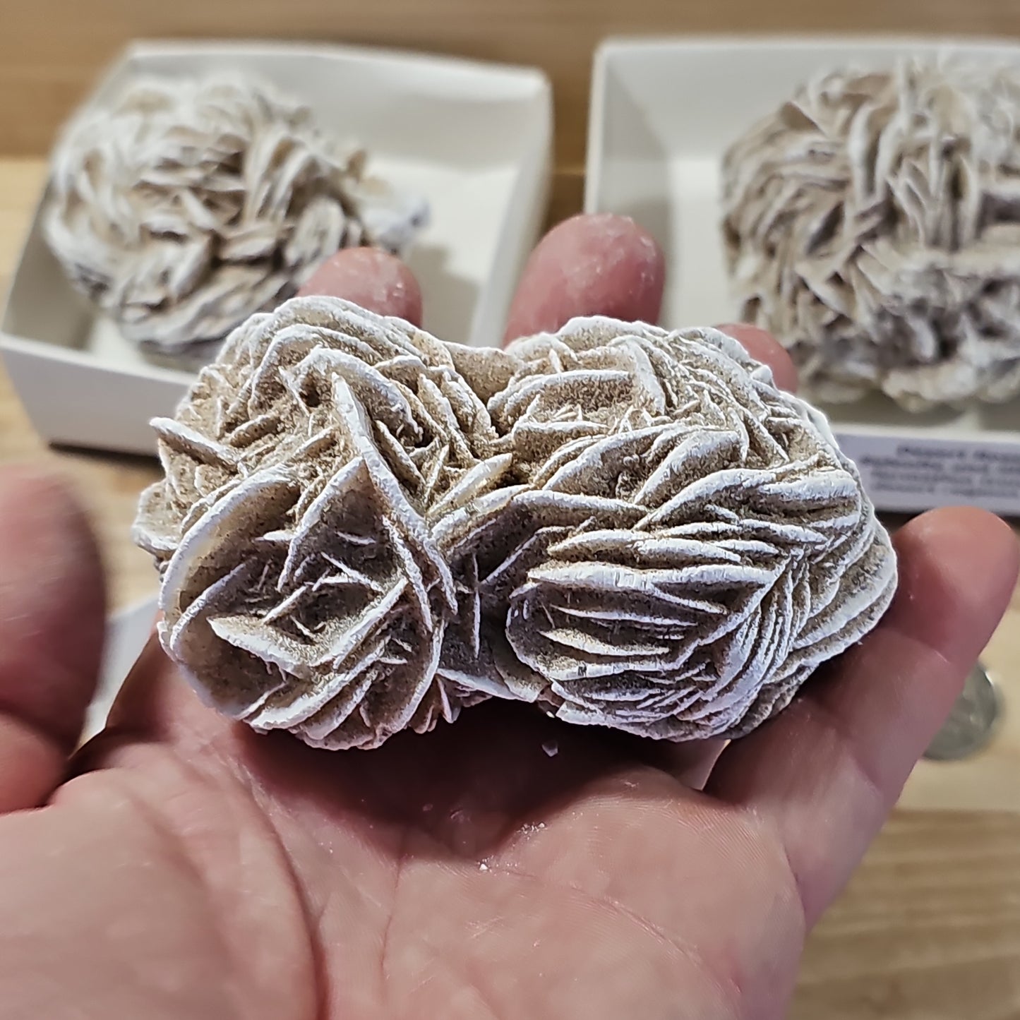 Desert Rose Display Pieces