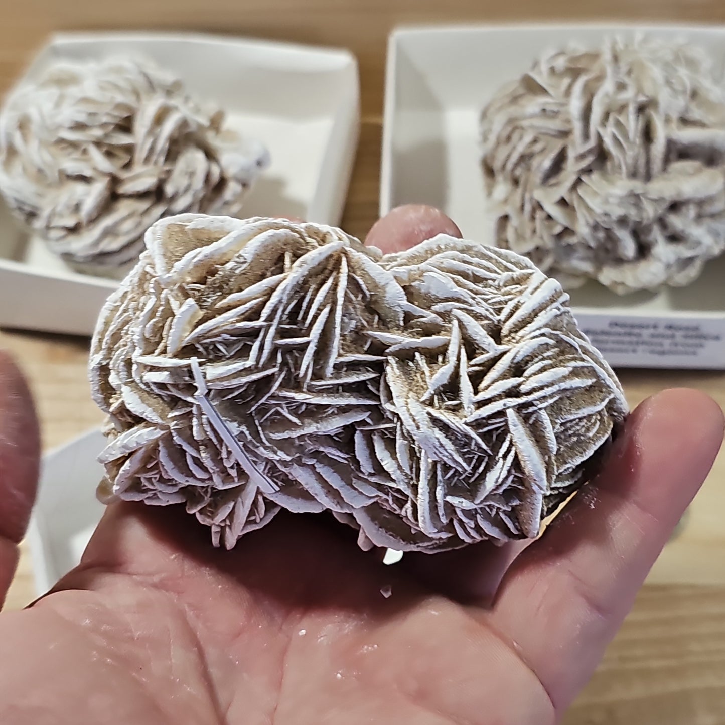Desert Rose Display Pieces