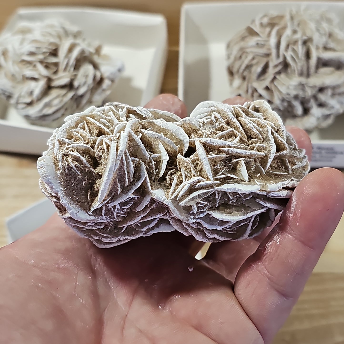 Desert Rose Display Pieces