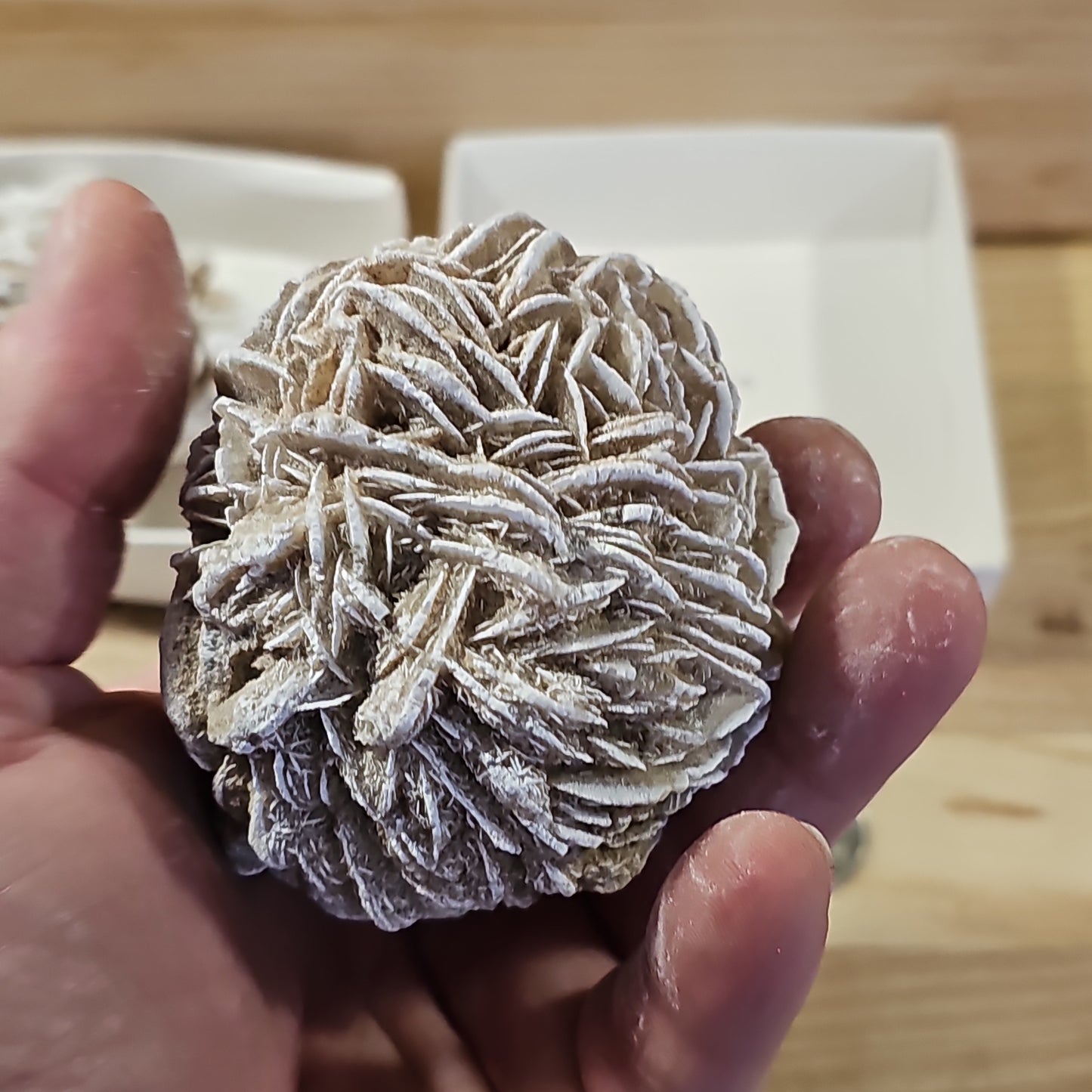 Desert Rose Display Pieces