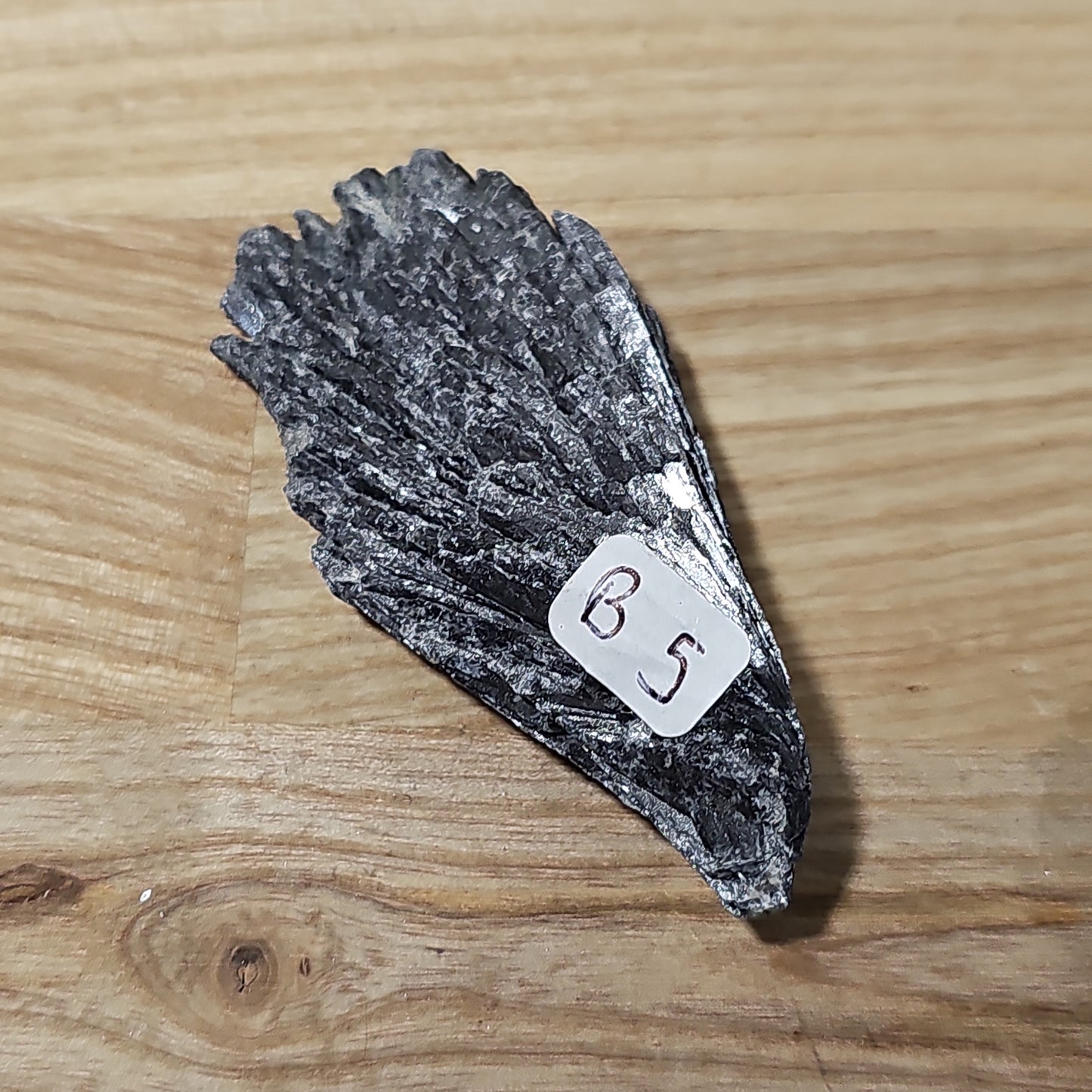 Black Kyanite - Raw pieces