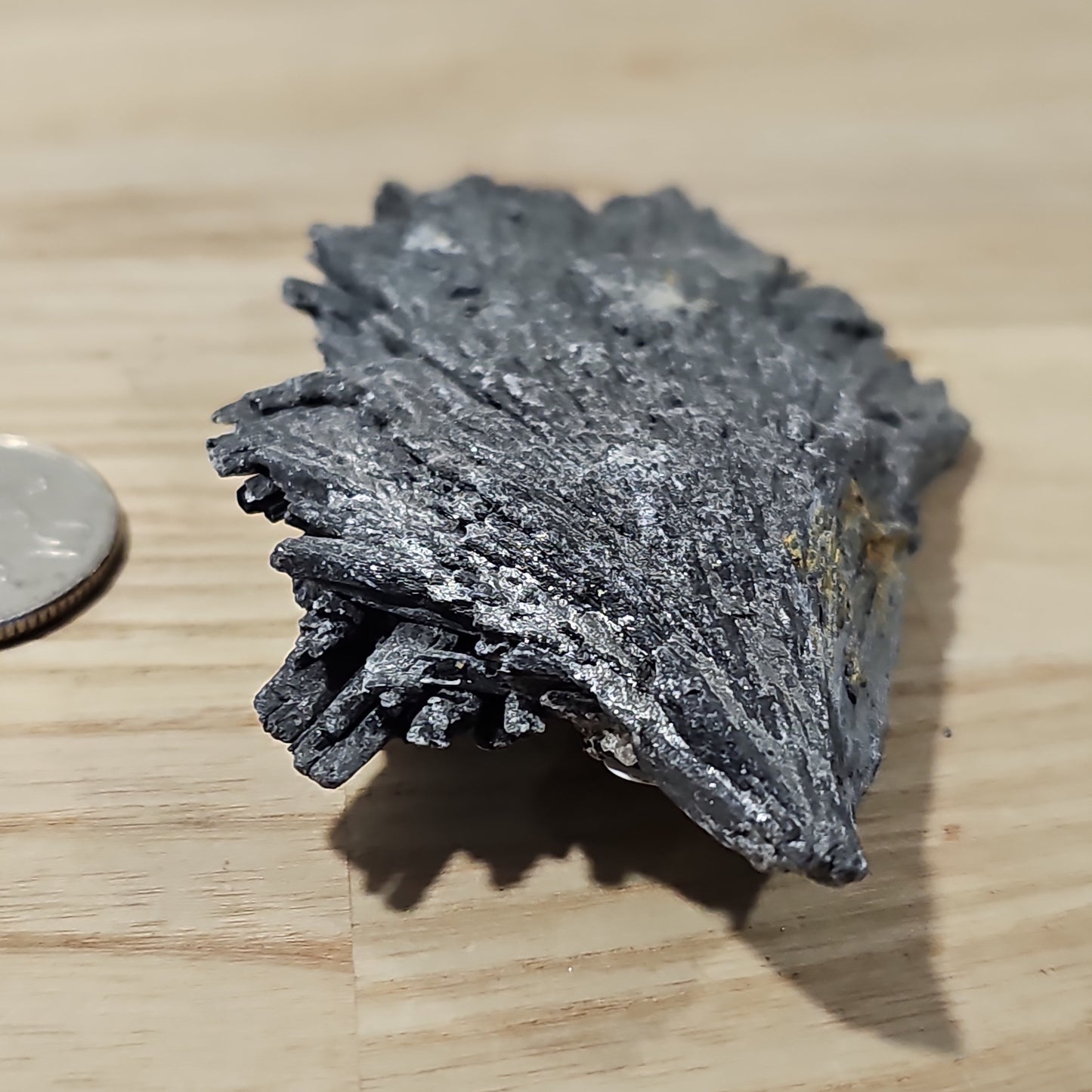 Black Kyanite - Raw pieces