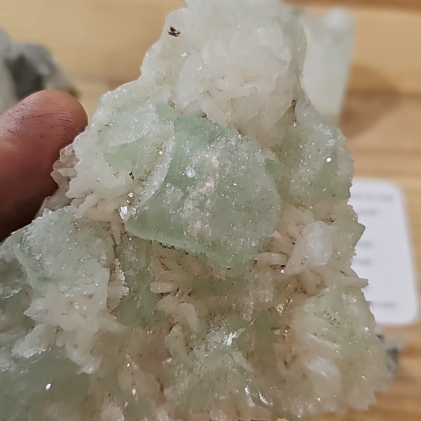 Apophyllites