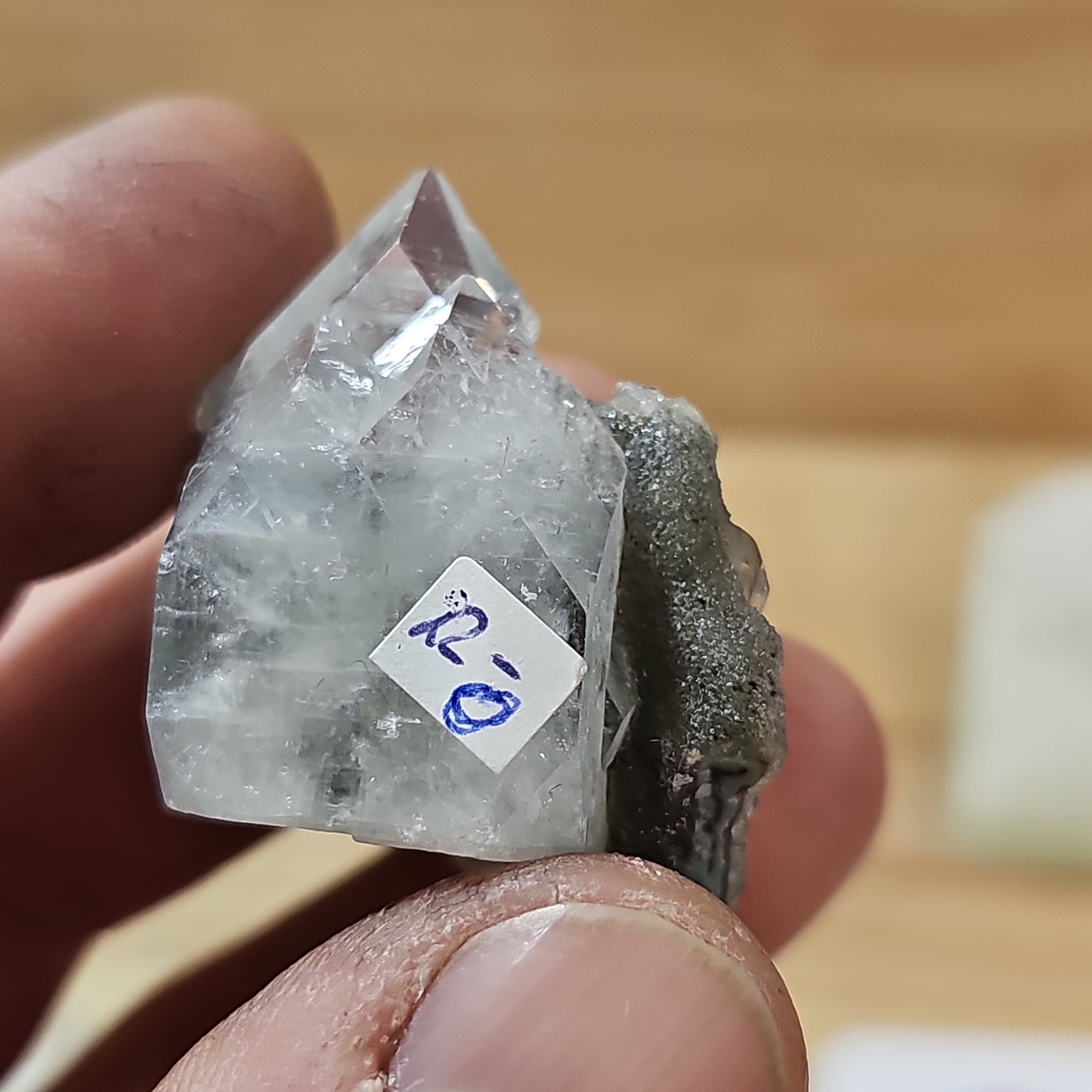 Apophyllites