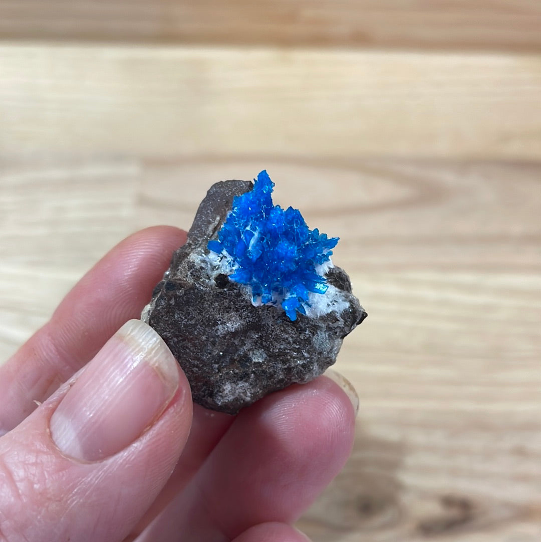 Cavansite - Specimen Grade