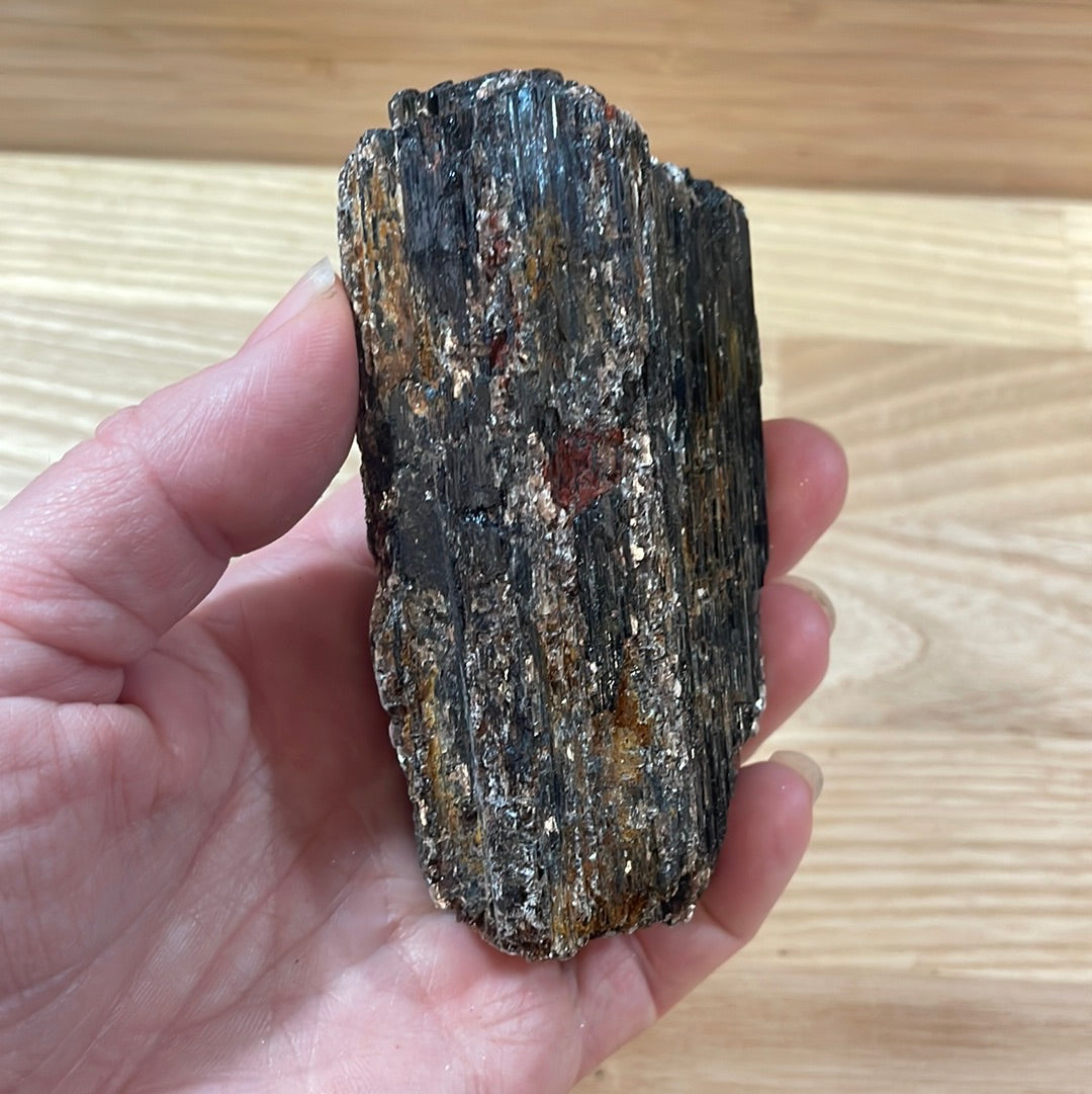 Black Tourmaline specimens with Mica