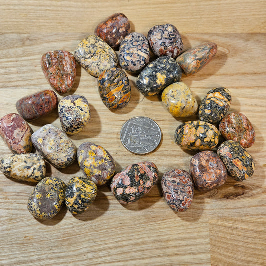 Leopard Skin Jasper