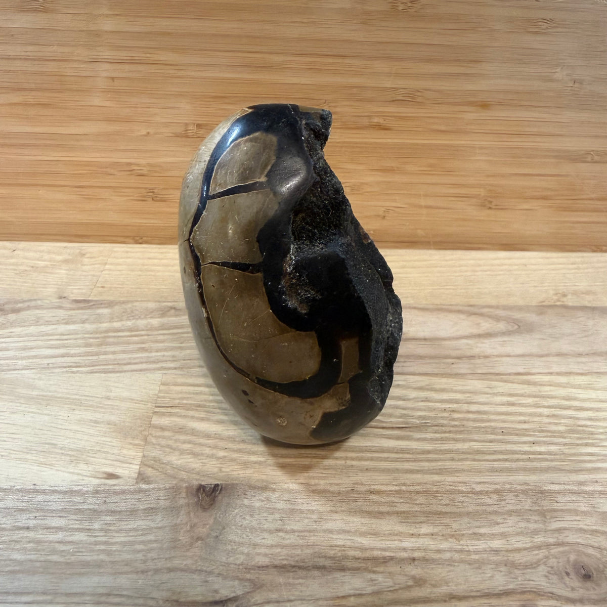 Septarian Raw & Polished Egg Display Piece