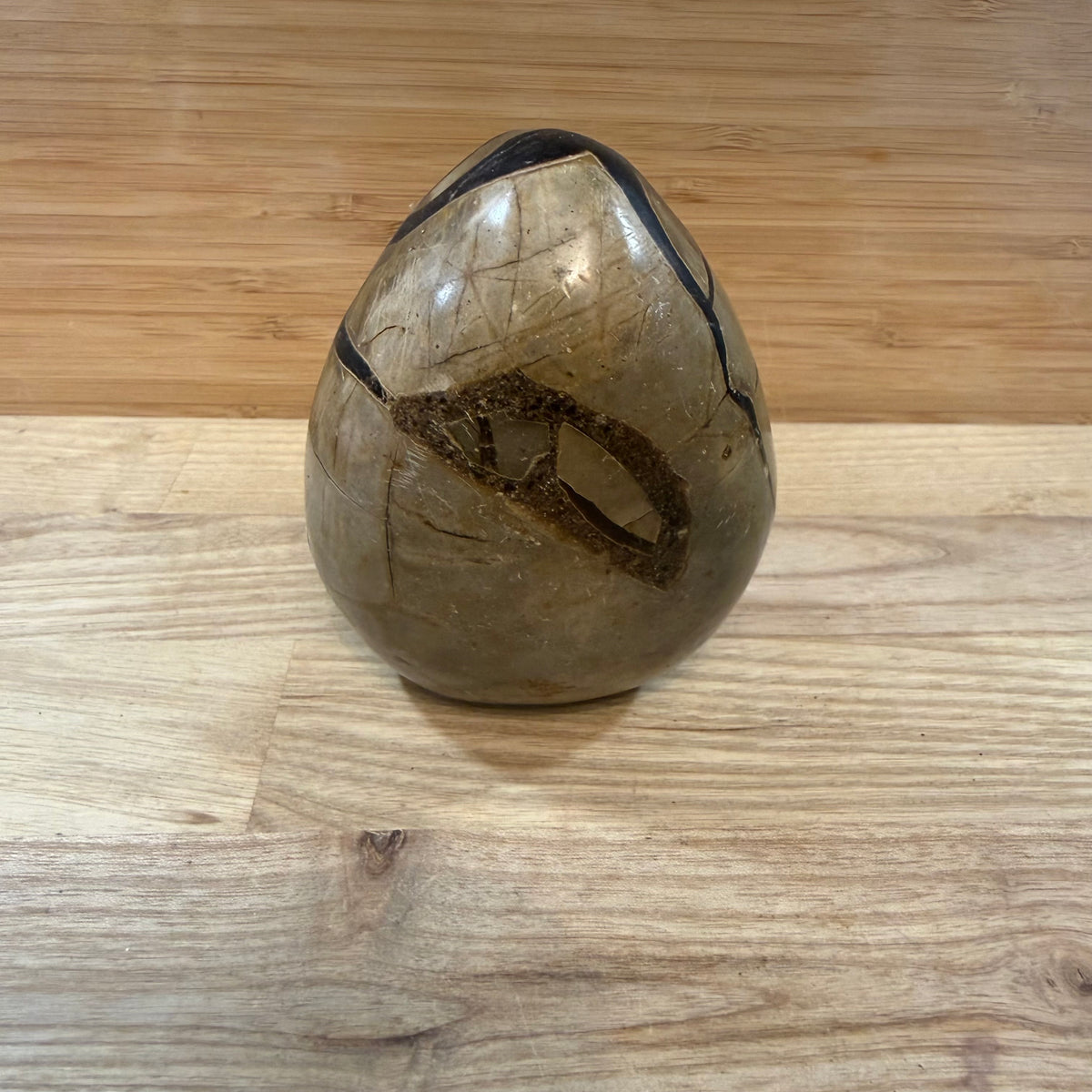 Septarian Raw & Polished Egg Display Piece