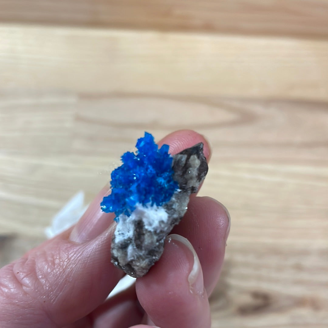 Cavansite - Specimen Grade