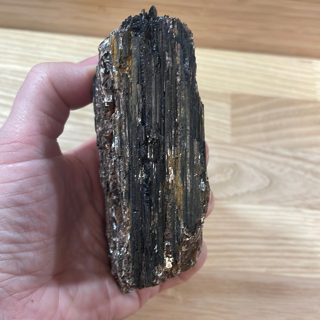 Black Tourmaline specimens with Mica