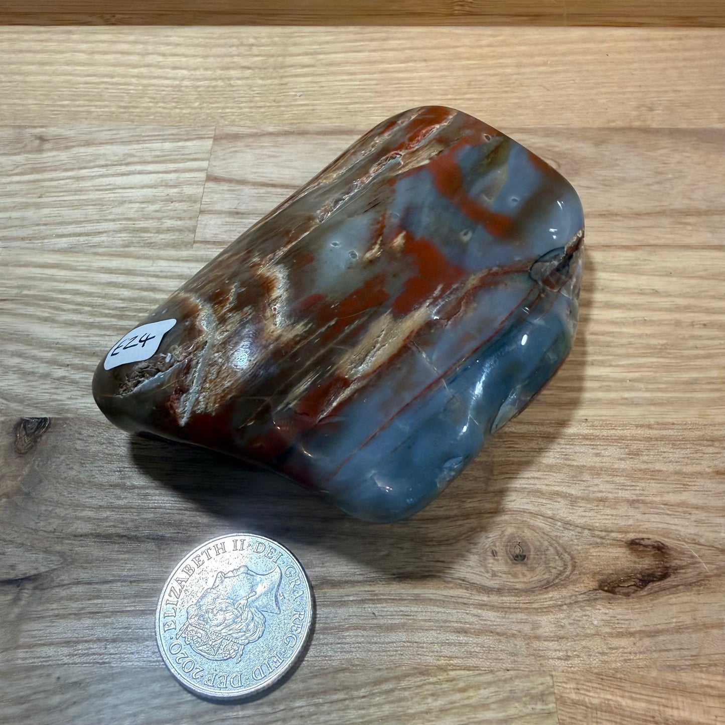 Fossilised Wood Polished Piece