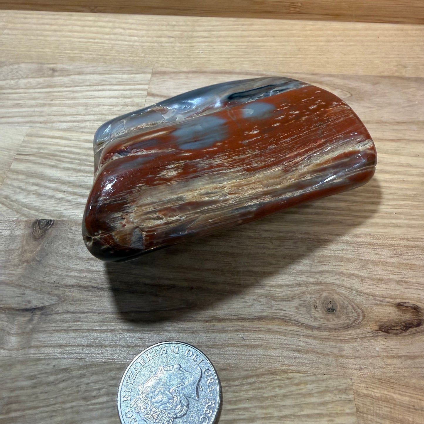 Fossilised Wood Polished Piece
