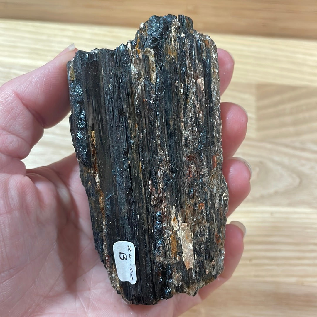 Black Tourmaline specimens with Mica