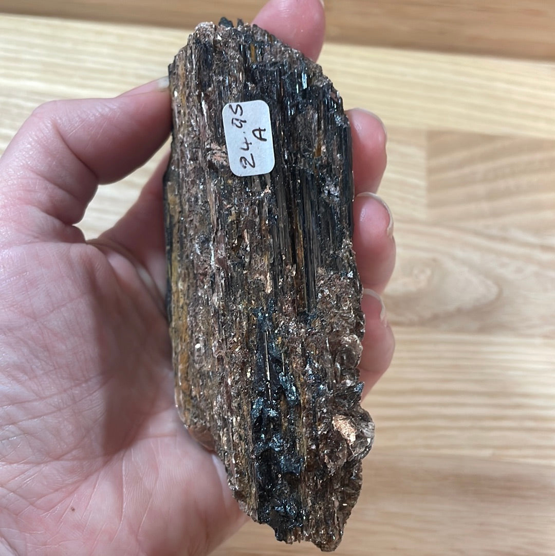 Black Tourmaline specimens with Mica