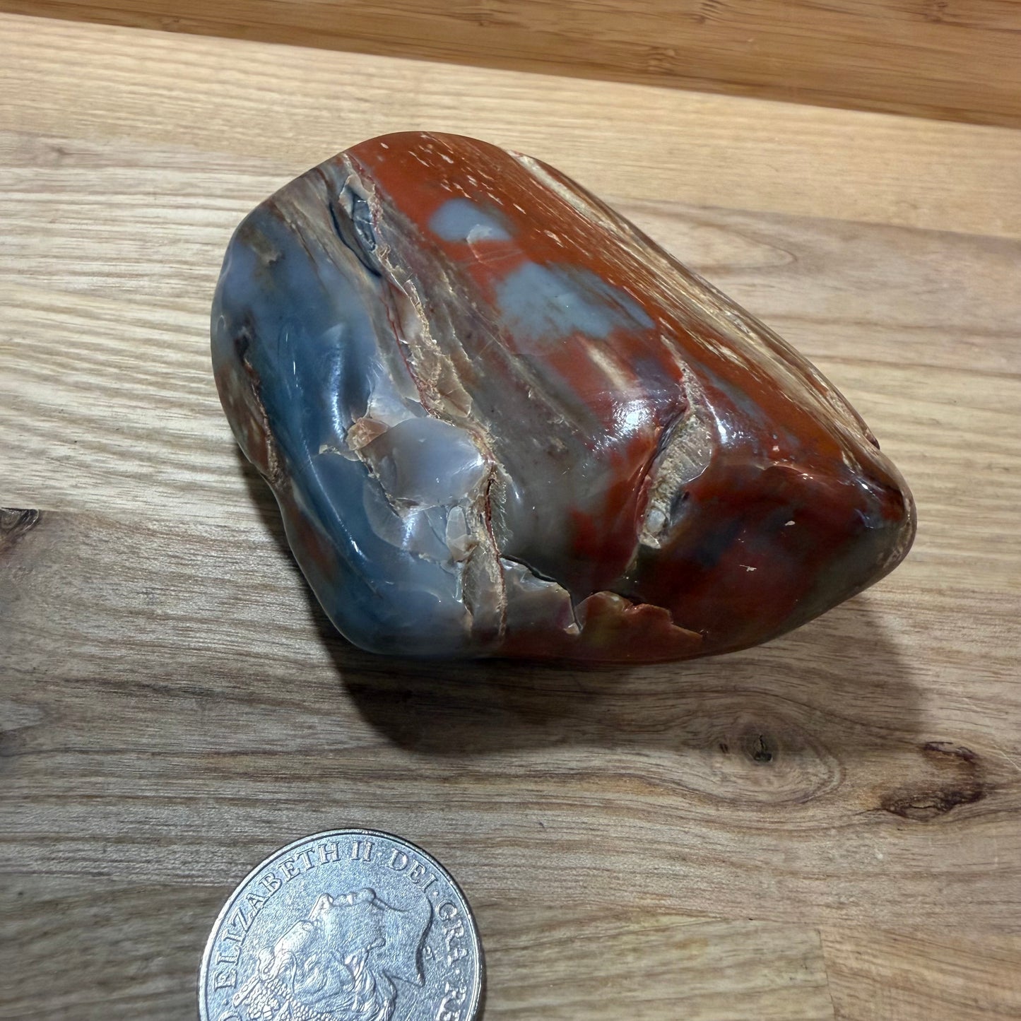 Fossilised Wood Polished Piece