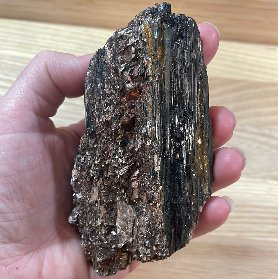 Black Tourmaline specimens with Mica