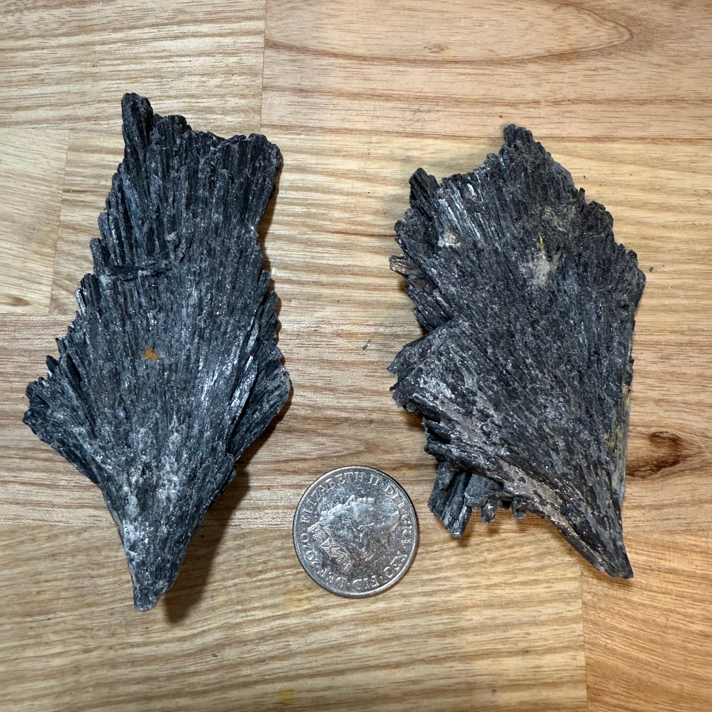 Black Kyanite - Raw pieces