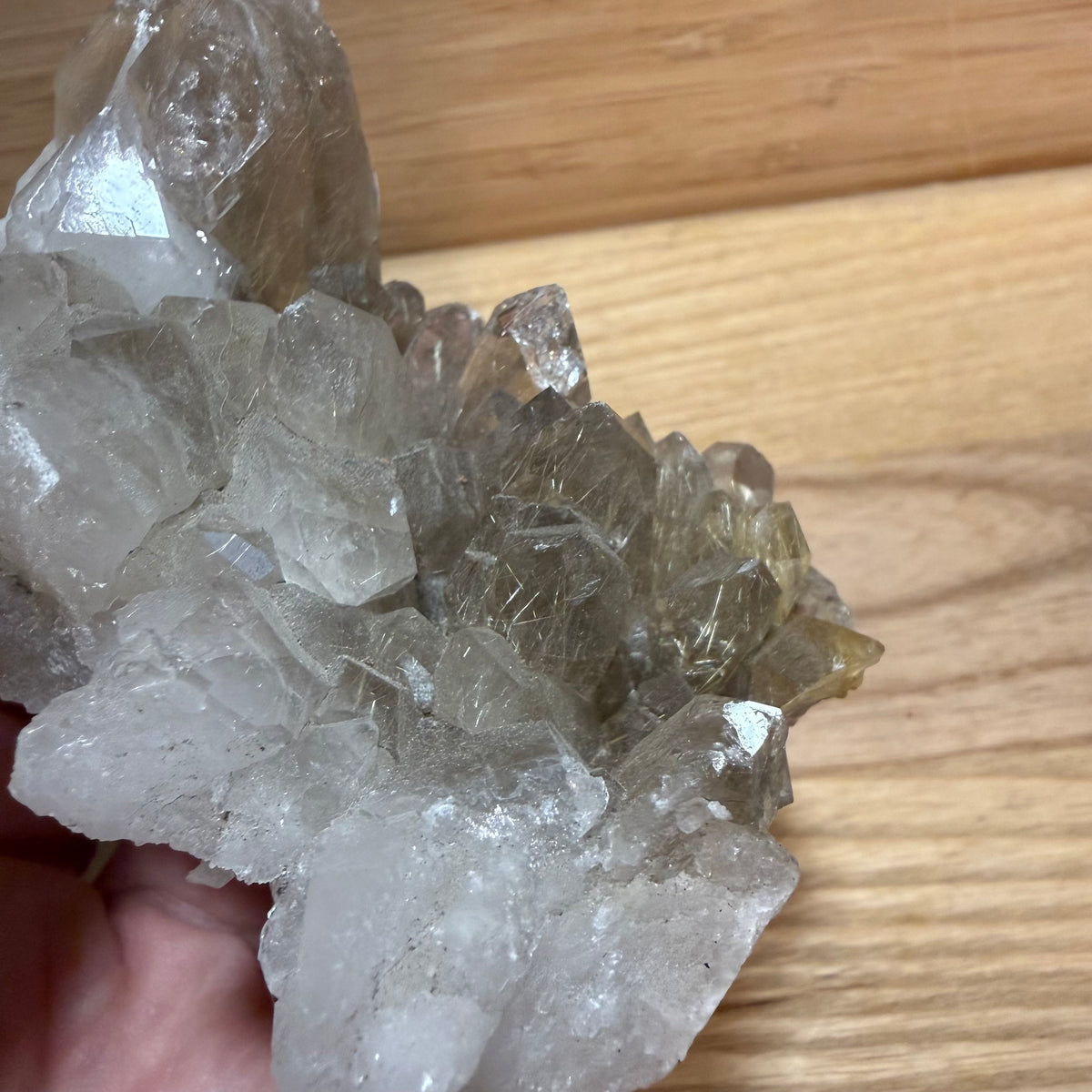 Rutilated Quartz Cluster