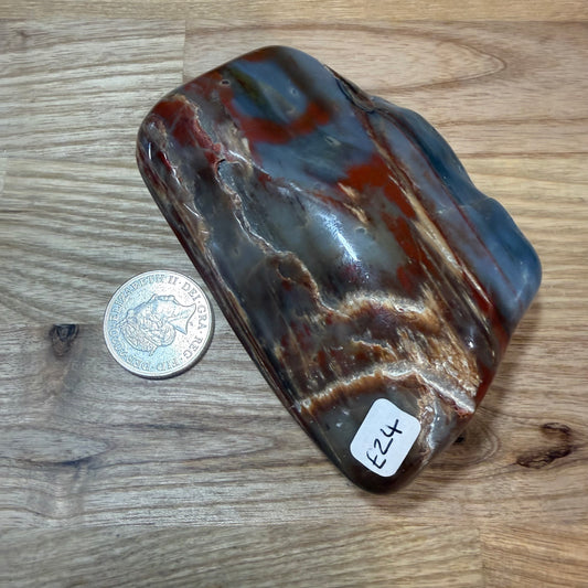 Fossilised Wood Polished Piece