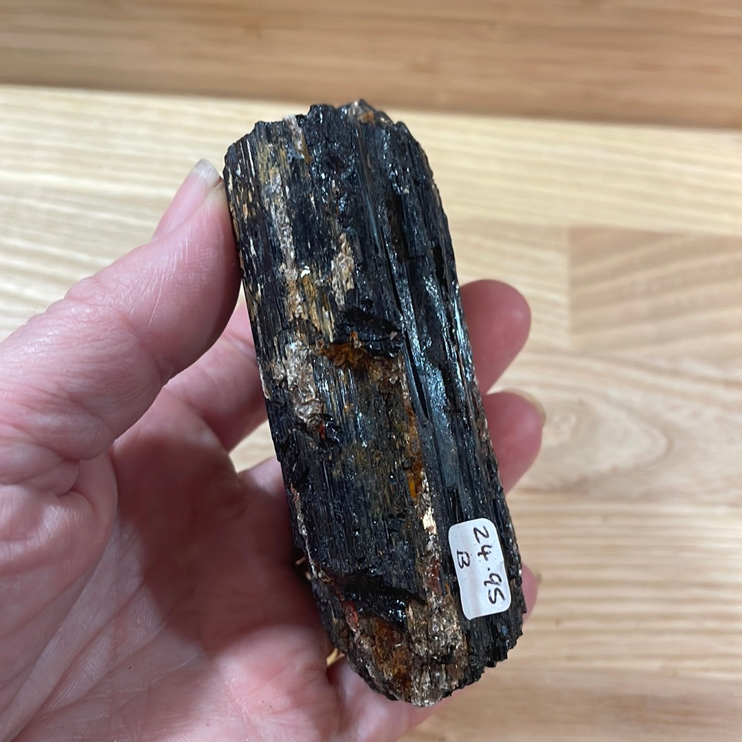 Black Tourmaline specimens with Mica