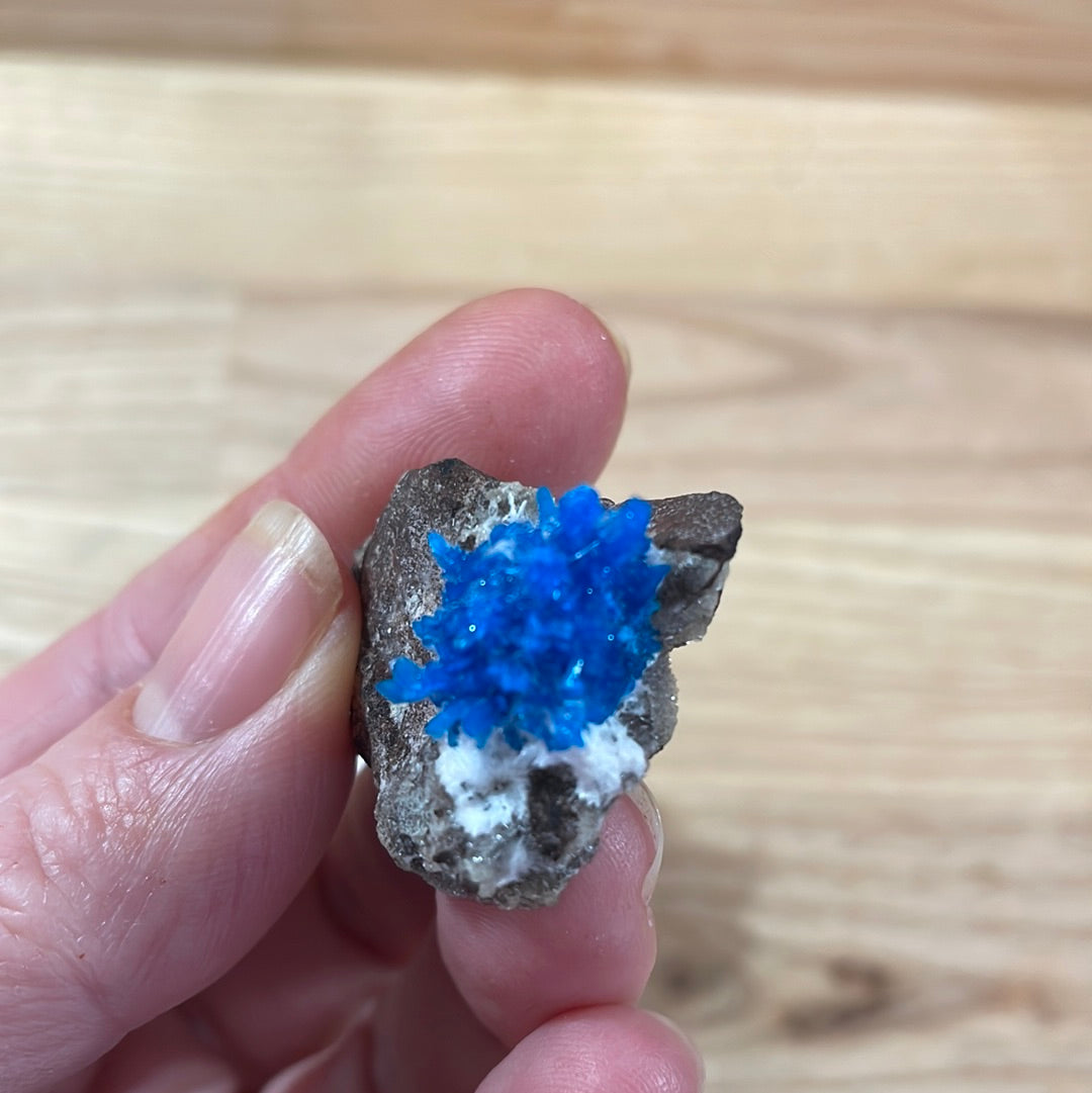 Cavansite - Specimen Grade
