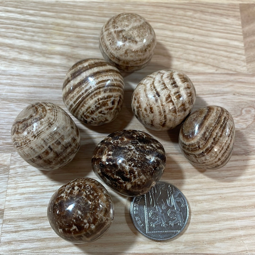 Aragonite (Brown Banded) Tumblestone