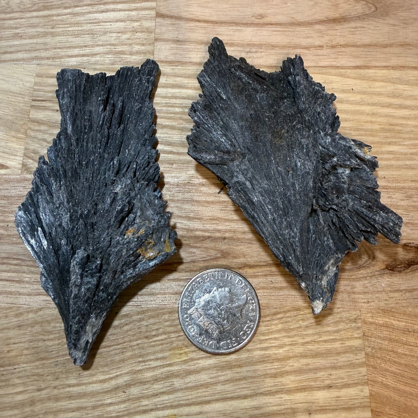 Black Kyanite - Raw pieces